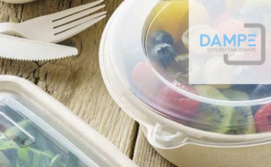 DAMPE – Soluzioni per il cibo d’asporto DAMPE – Soluzioni per il cibo d’asporto