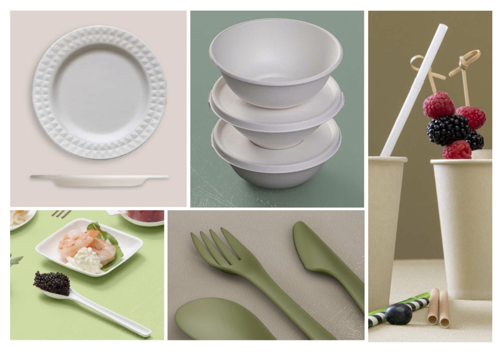 DAMPE – Nuovi Cataloghi 2020-2021